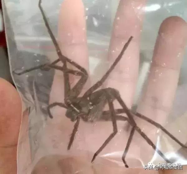 第343页