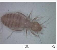 第316页