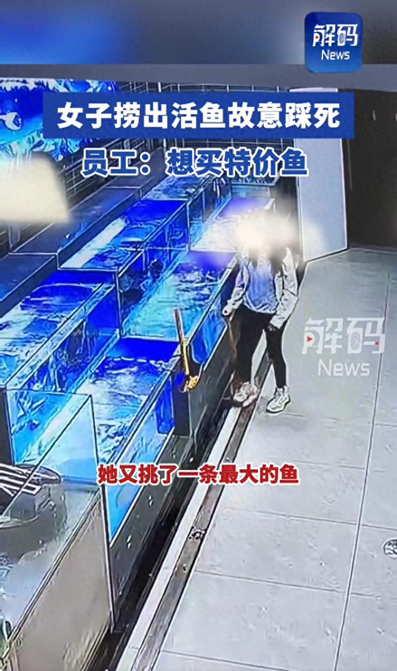 第271页