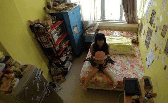 第235页